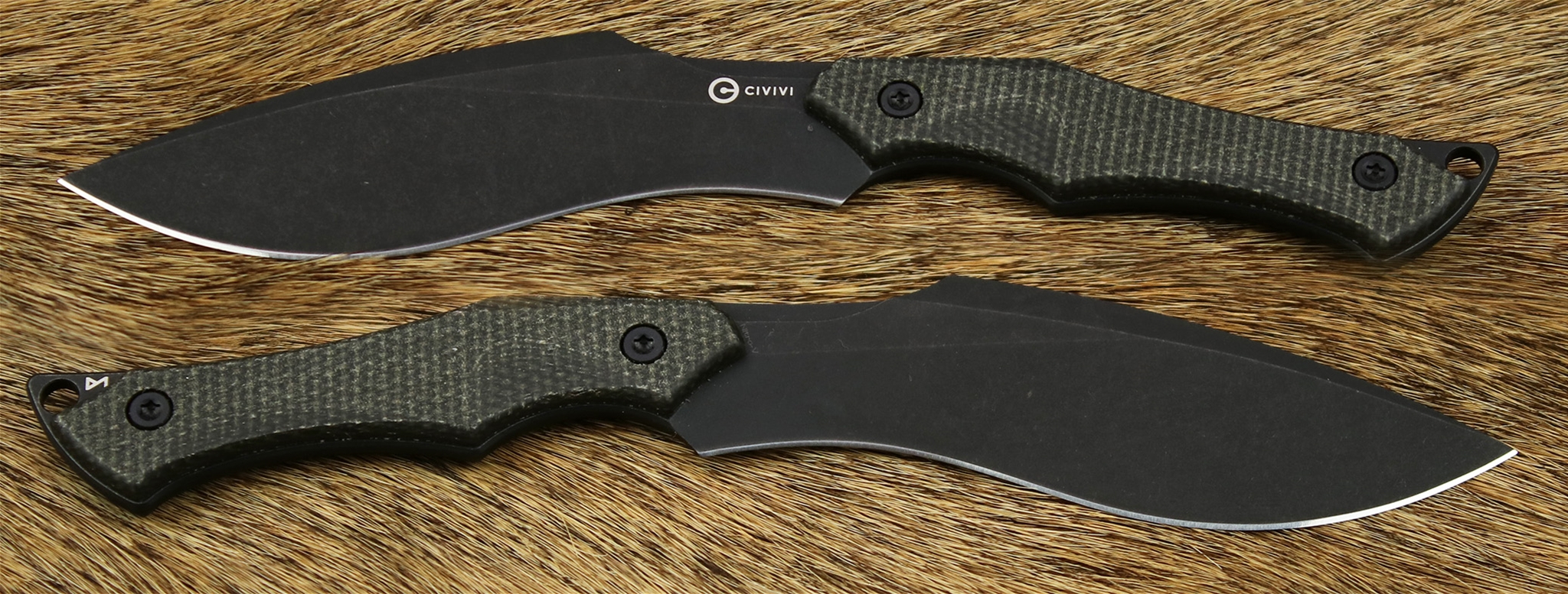 Vaquita II Designed by Nate Matlack